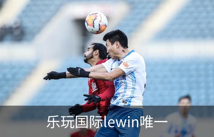 乐玩国际lewin唯一简介